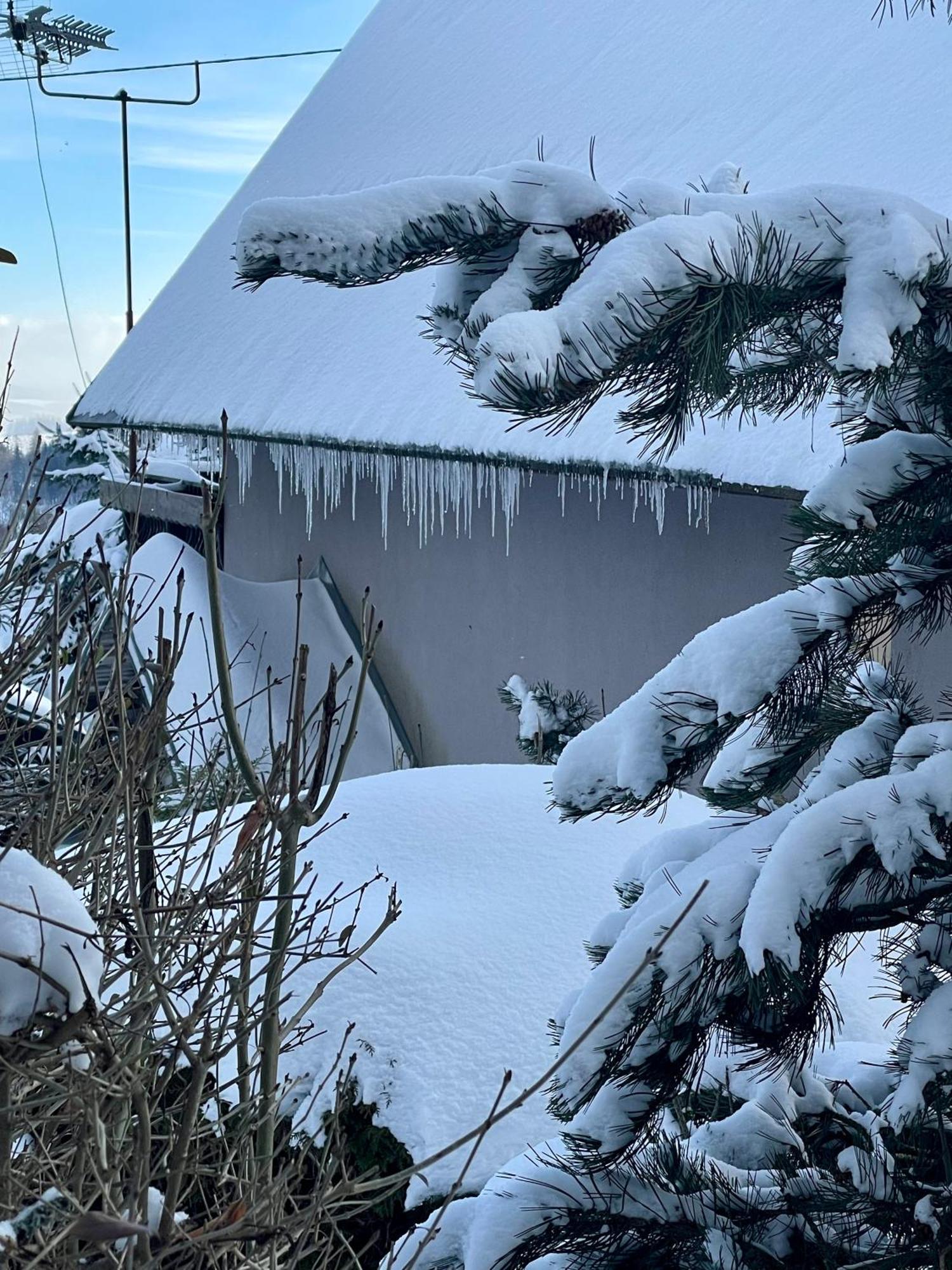 Rekreacni Horska Chata Na Nove Vsi 90 Dolní Moravice Exteriér fotografie